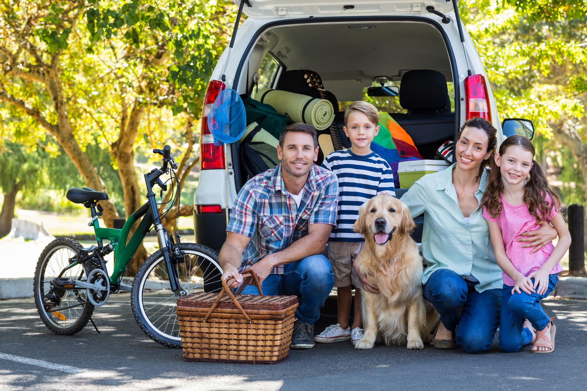 Family Day сертификаты 