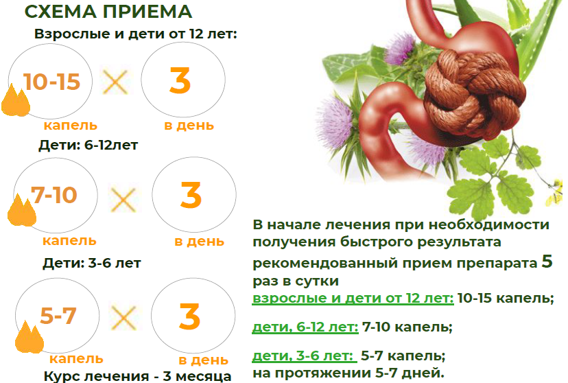 бов11