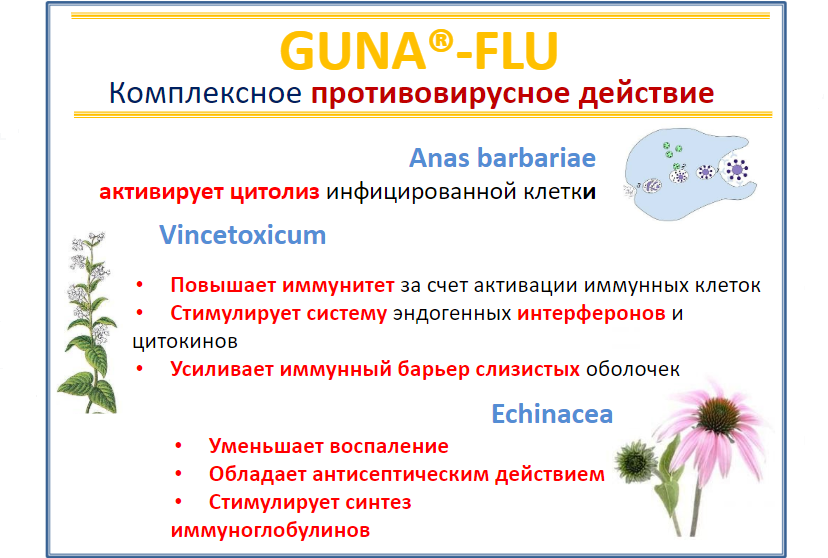 Флу03